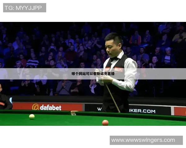 杭州羽毛球队在世界杯预选赛中的战术分析与表现评估