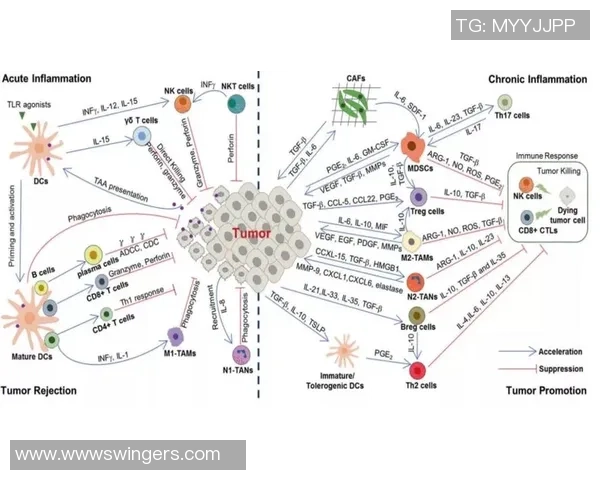 杭州网球队意识表现分析：数据揭示团队协作与个人能力的关系