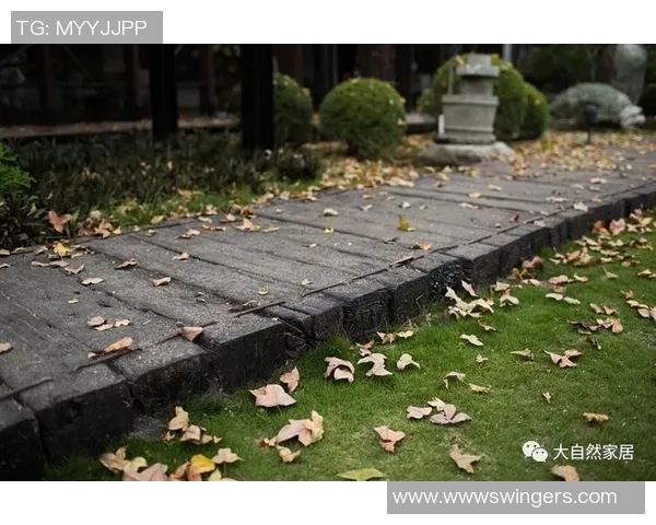 禅意足球明星的魅力与哲学探讨揭示运动与心灵的完美结合