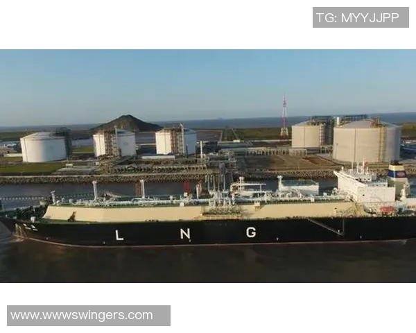 2026CS_GO配合排名：LNG创新高