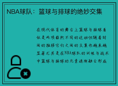 NBA球队：篮球与排球的绝妙交集