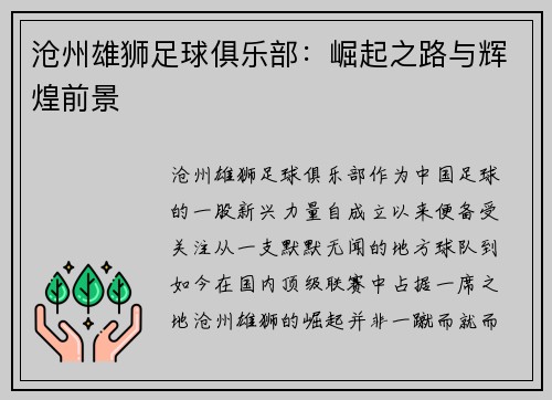 沧州雄狮足球俱乐部：崛起之路与辉煌前景