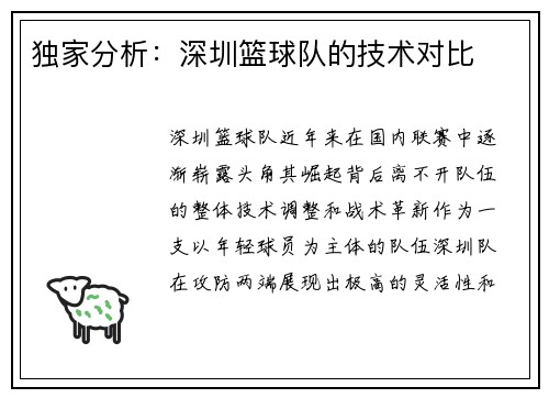 独家分析：深圳篮球队的技术对比