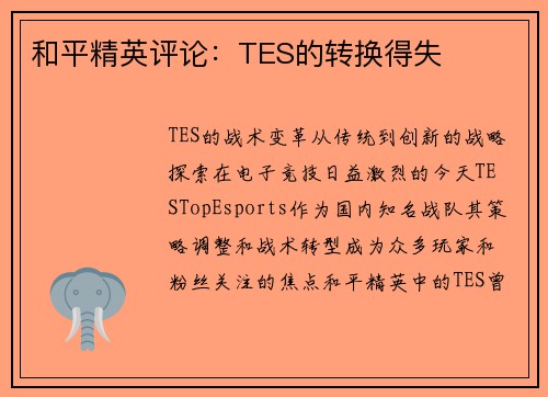 和平精英评论：TES的转换得失