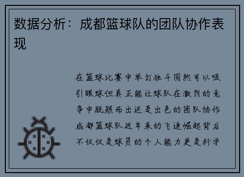 数据分析：成都篮球队的团队协作表现